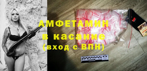 шишки Богородицк